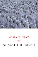 Book Cover:  So Vast the Prison
